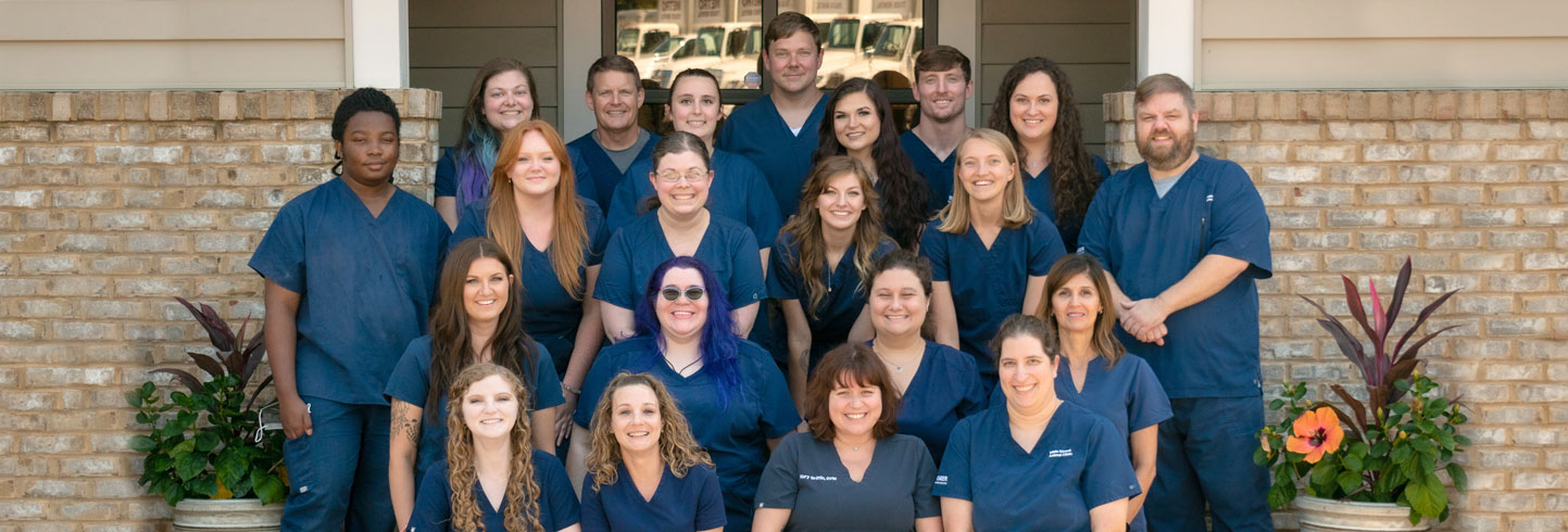 veterinarians Birmingham